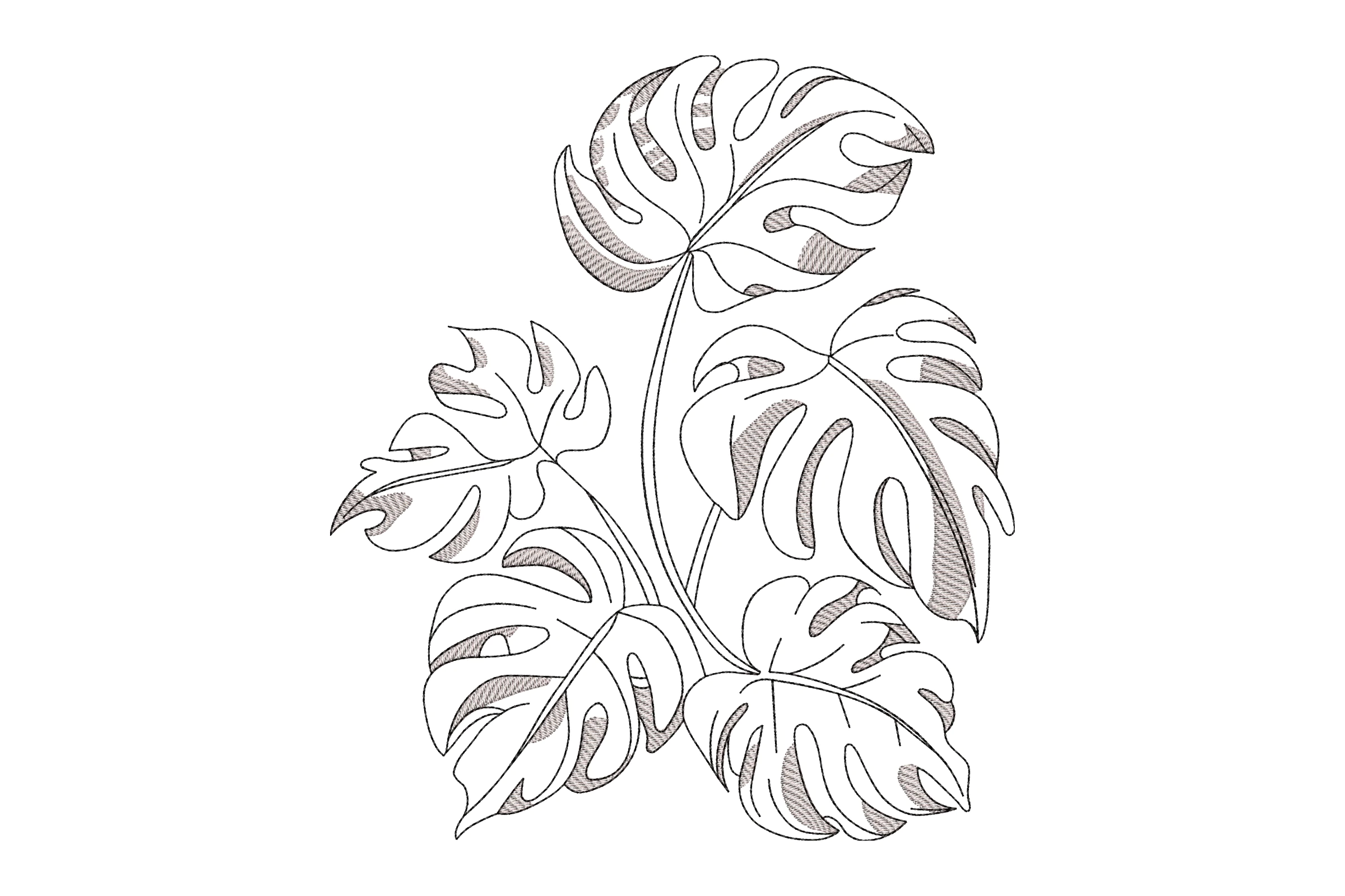 Monstera One Line Leaf Embroidery Design