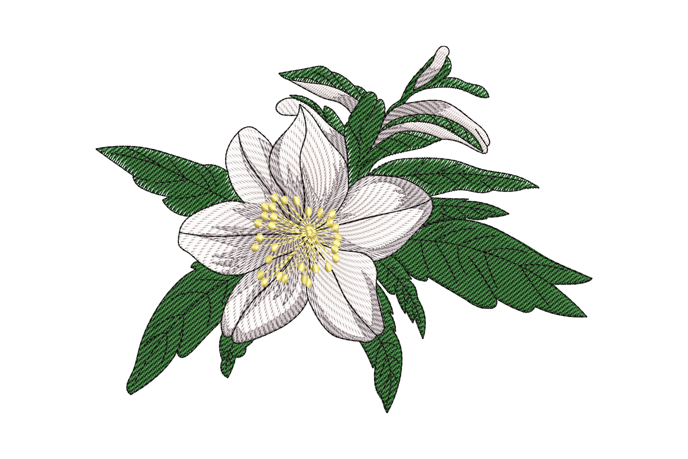 Columbine Flower Embroidery Design