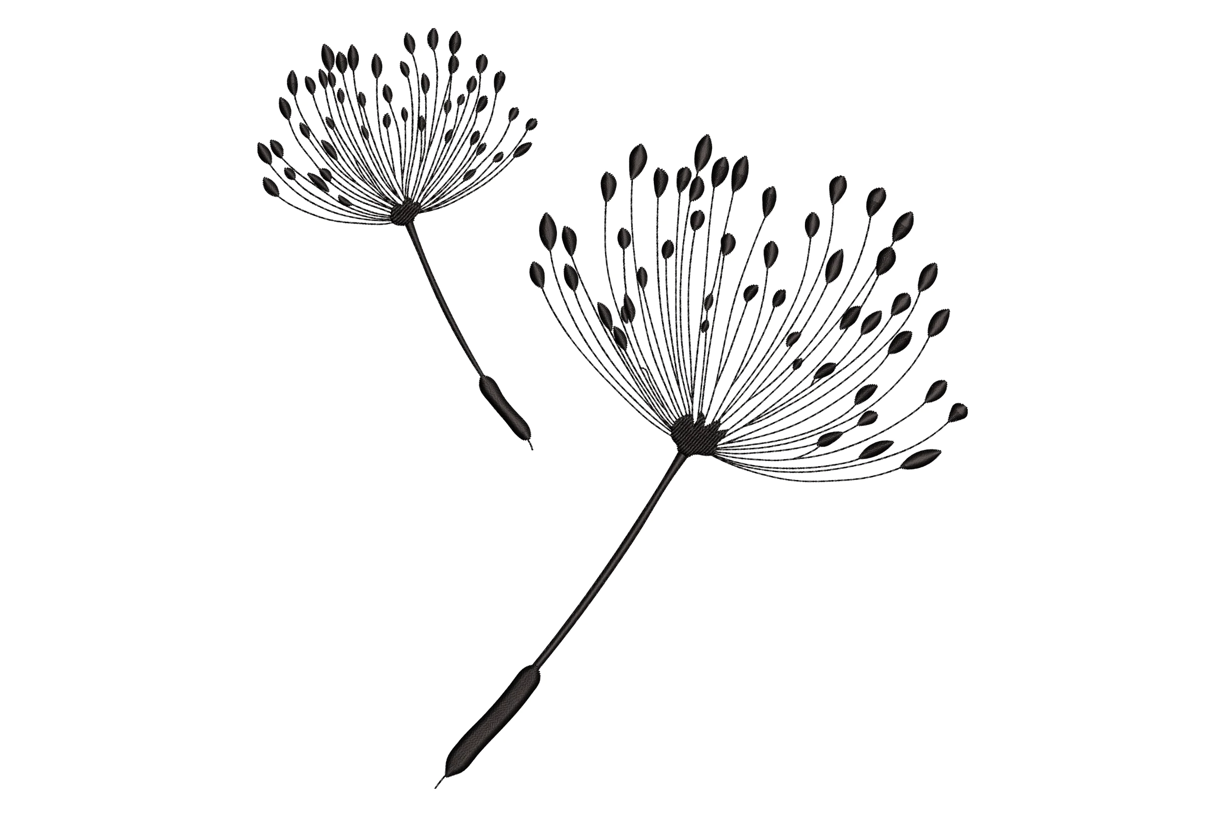Delicate Dandelion Embroidery Design