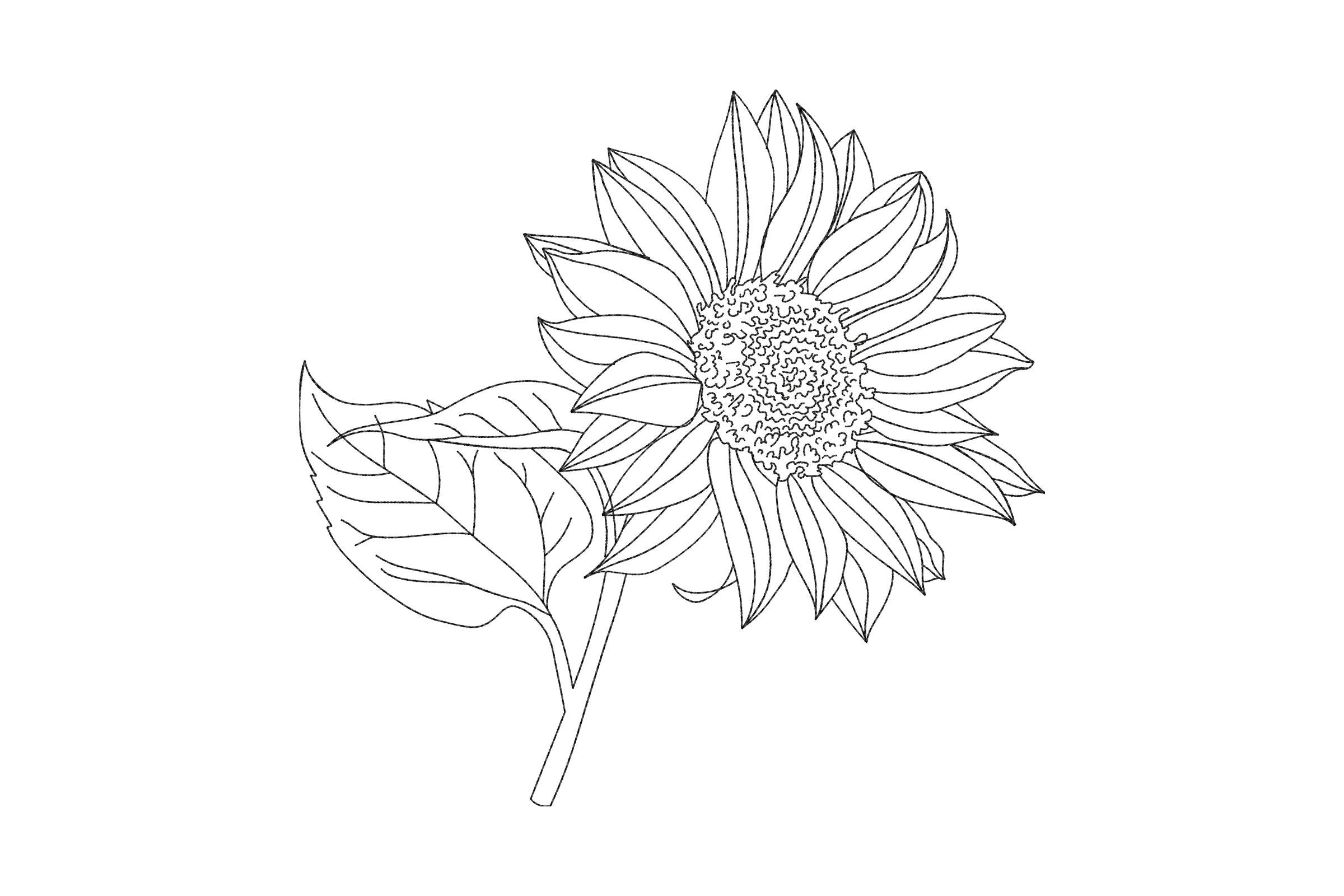 Sunflower Embroidery Design