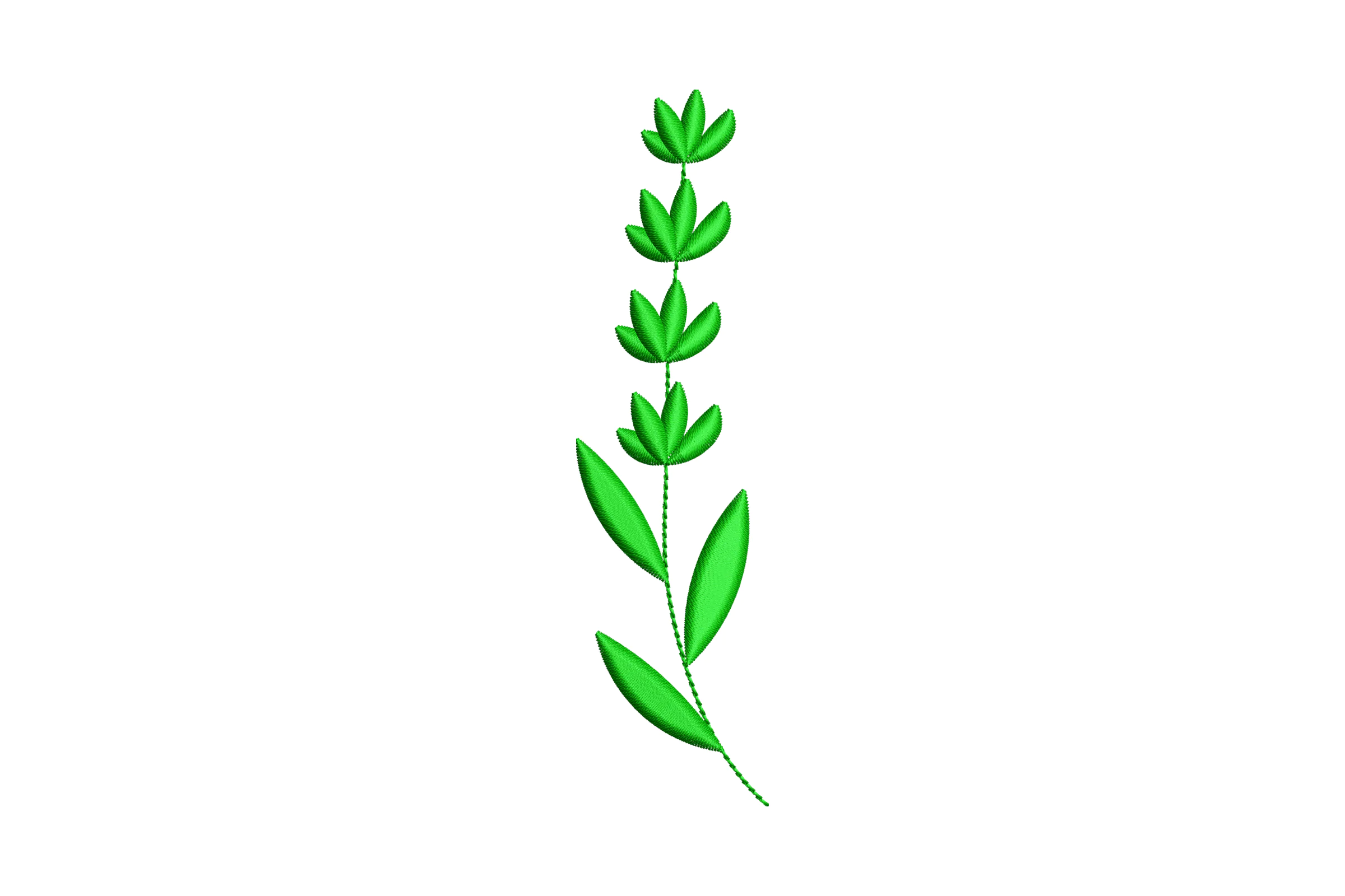 Green Leaf and Stem Embroidery Design