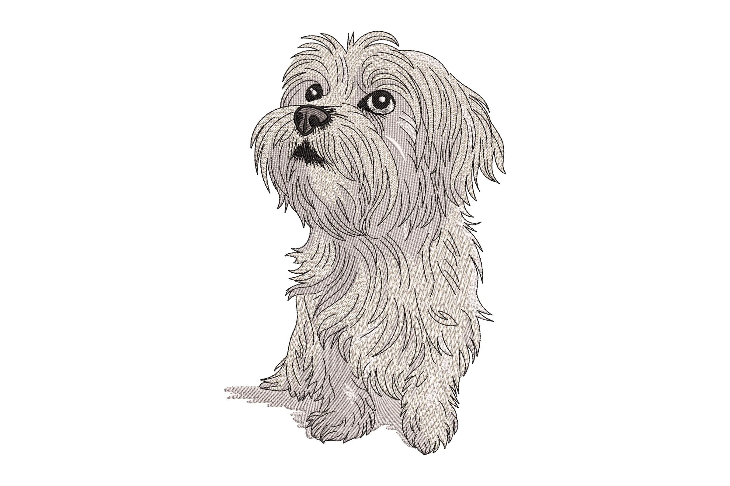 Coton De Tulear Dog Embroidery Design
