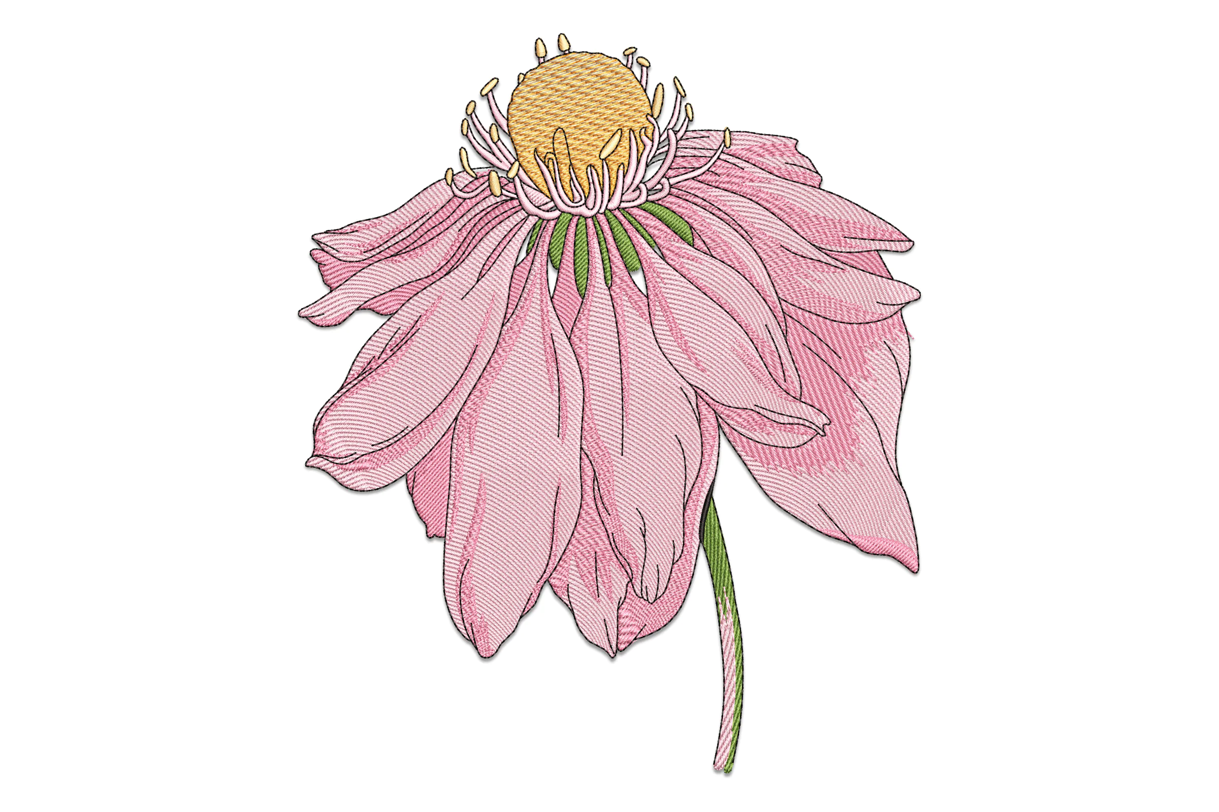Peony Pink Blue Floral Embroidery Design