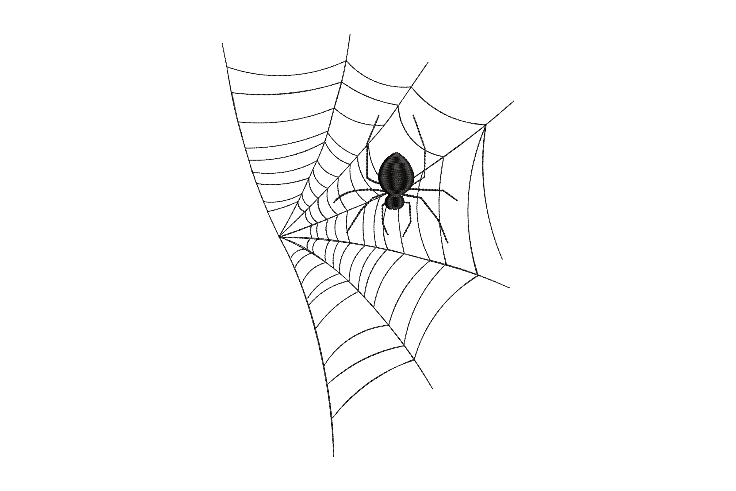 Spider on Web Embroidery Design
