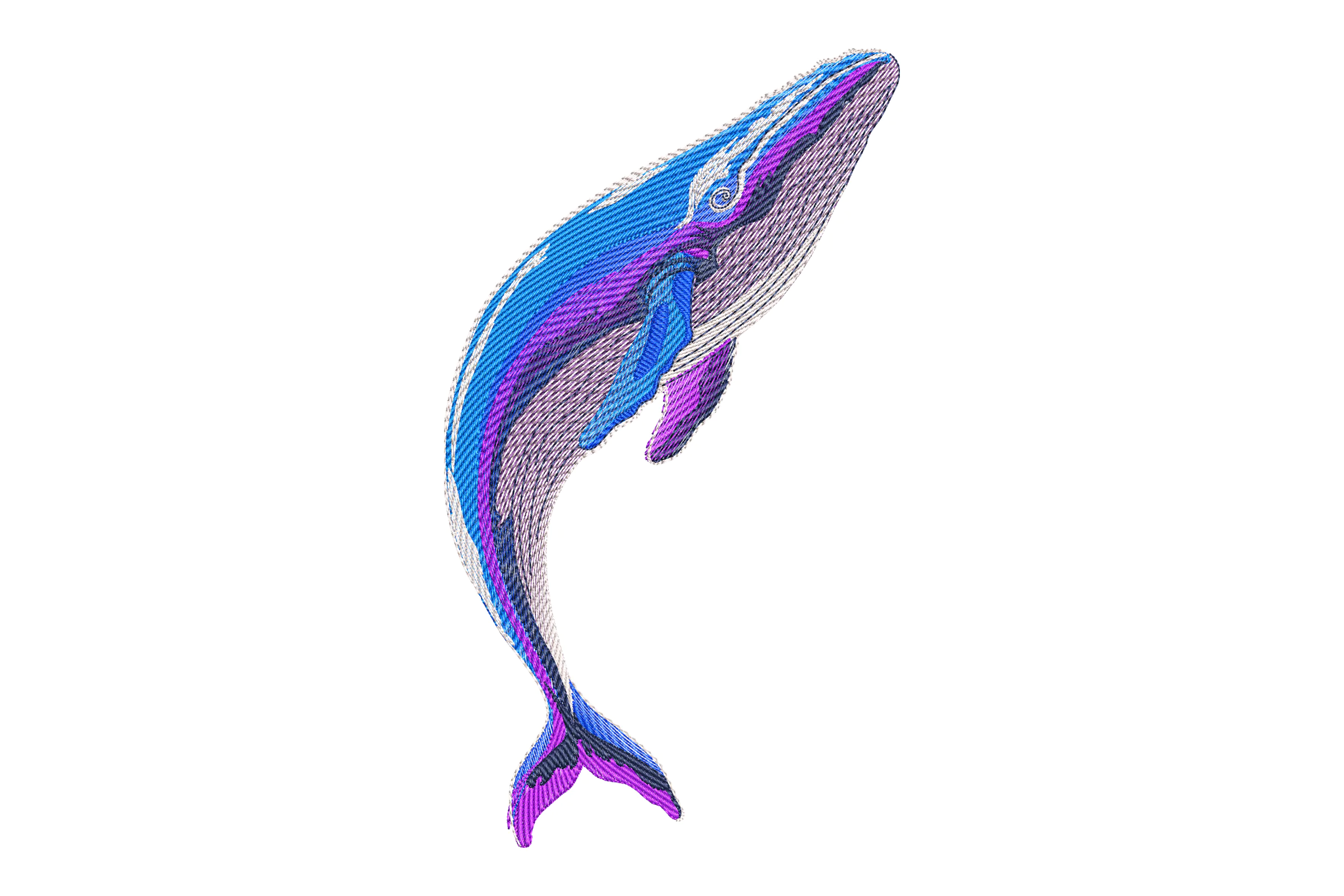Whale Embroidery Design