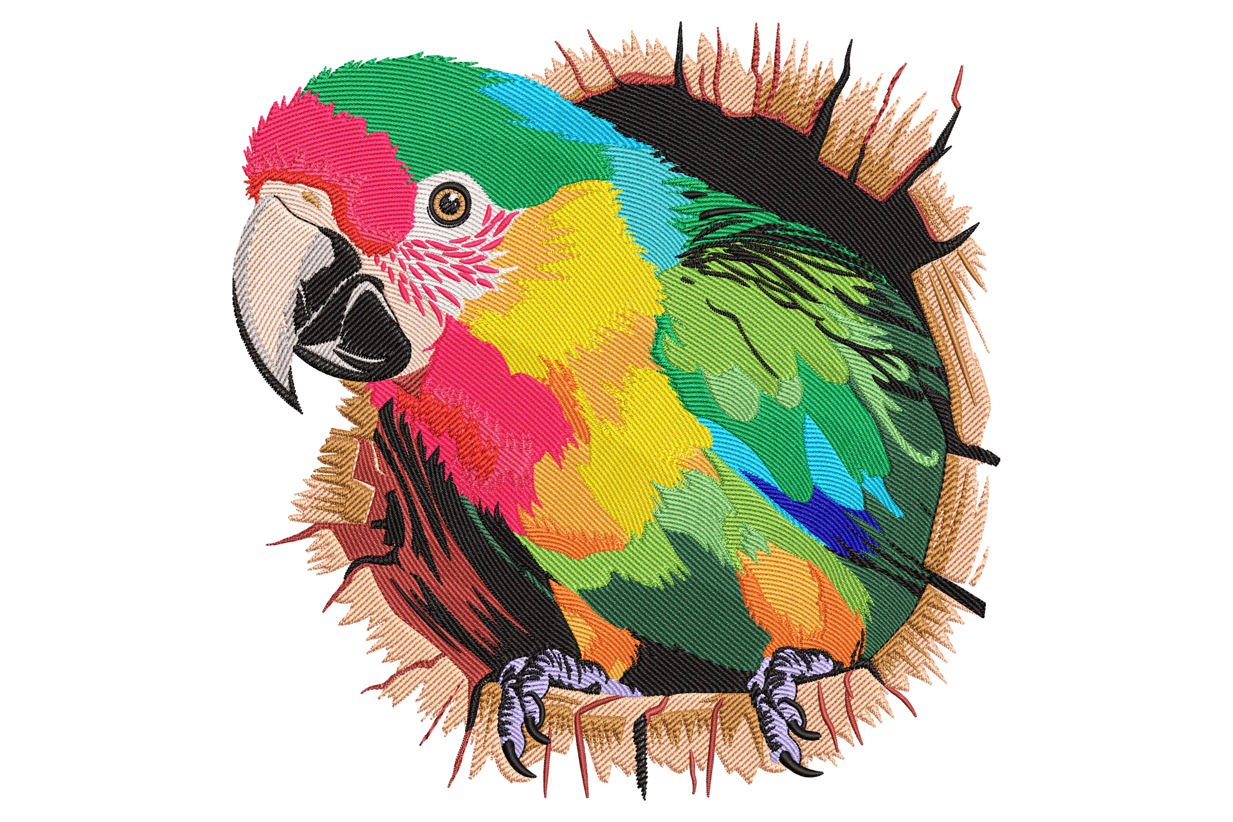 Colorful Parrot Embroidery Design