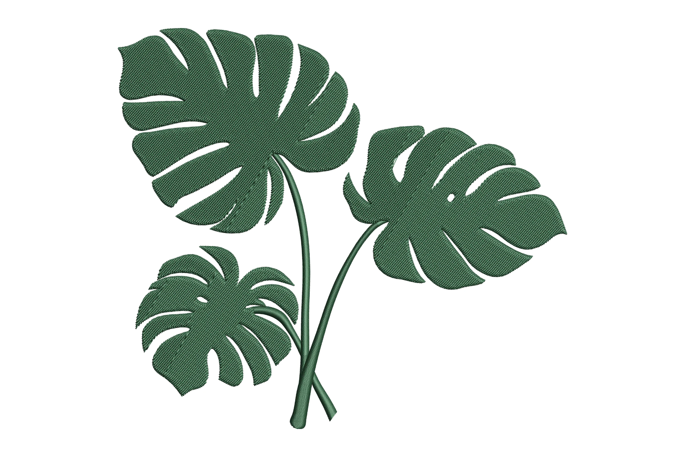 Monstera Leaf Embroidery Design