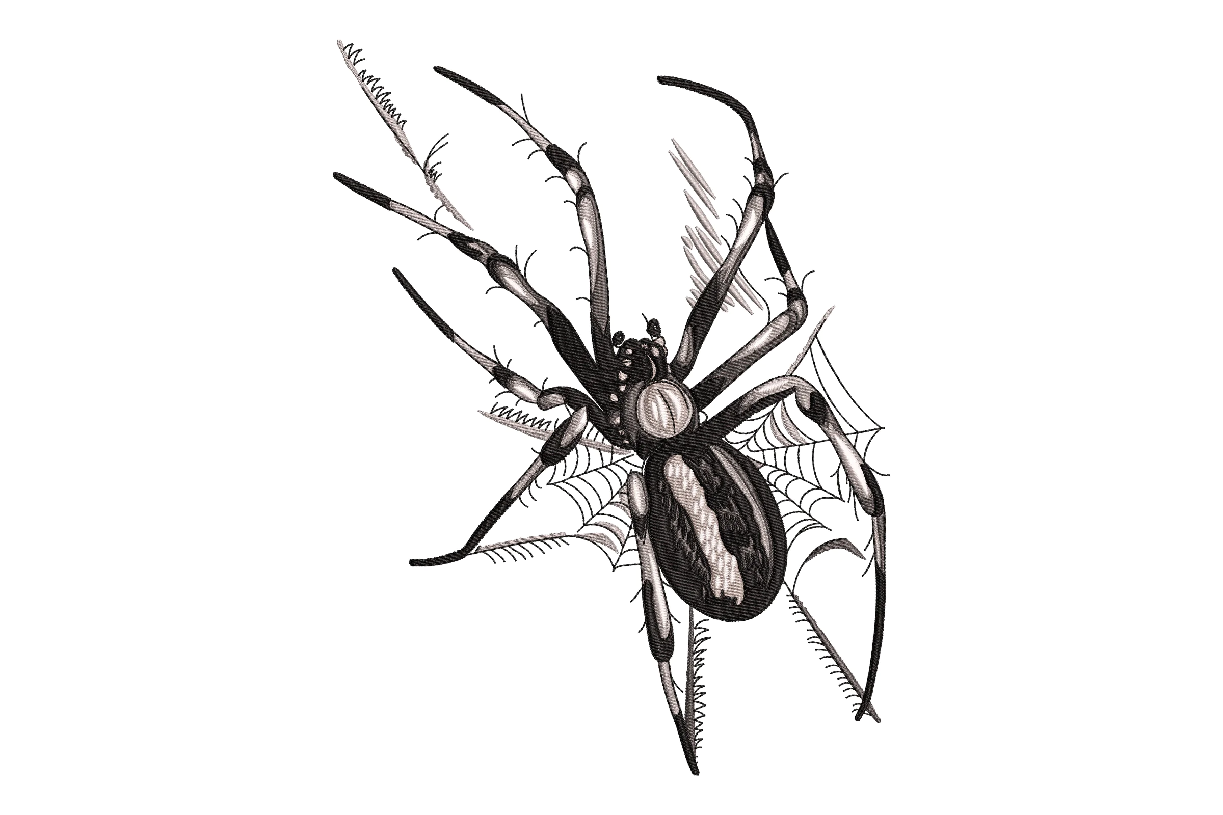 Realistic Spider Embroidery Design File