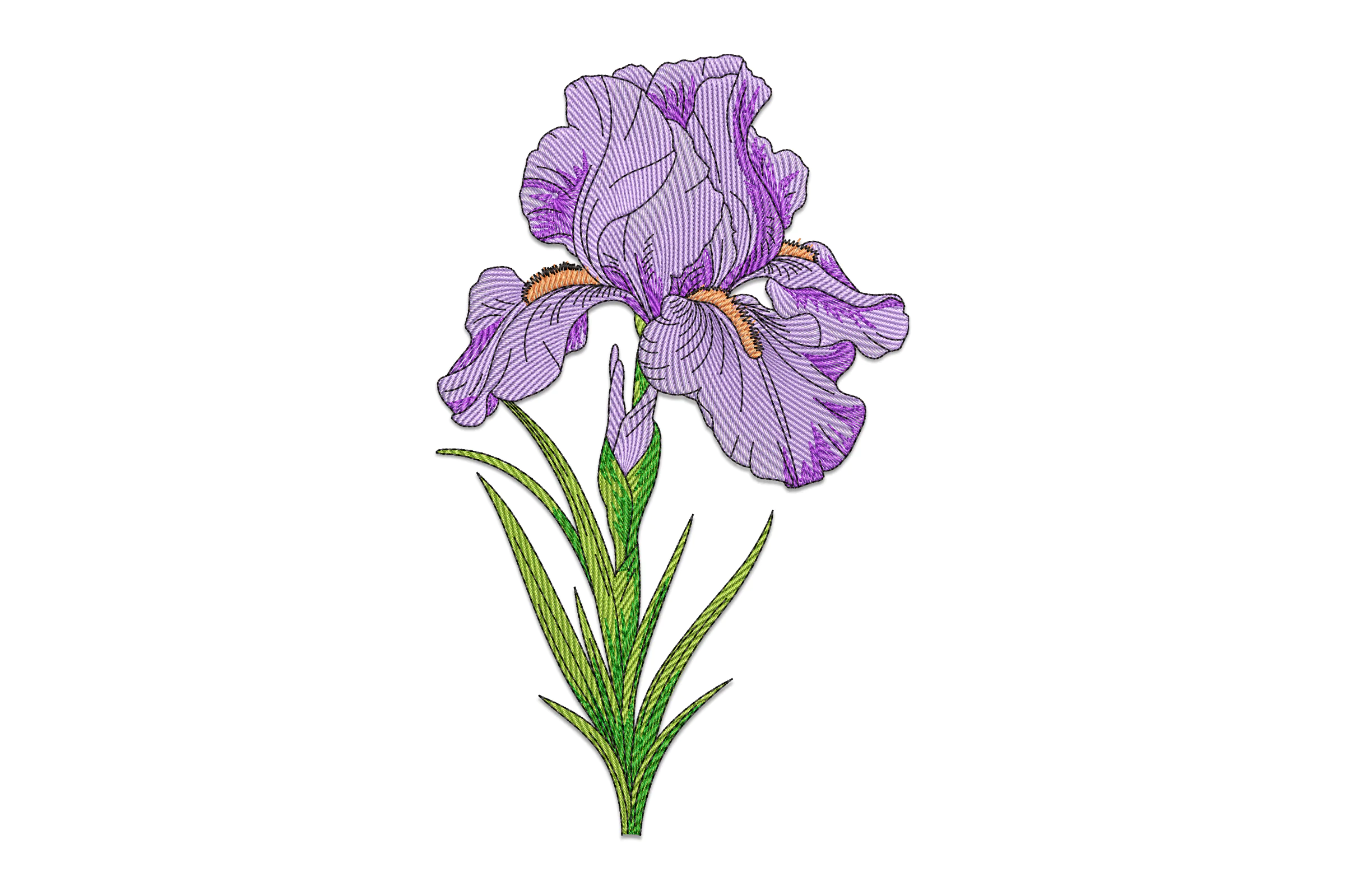 Iris Flower Embroidery Design