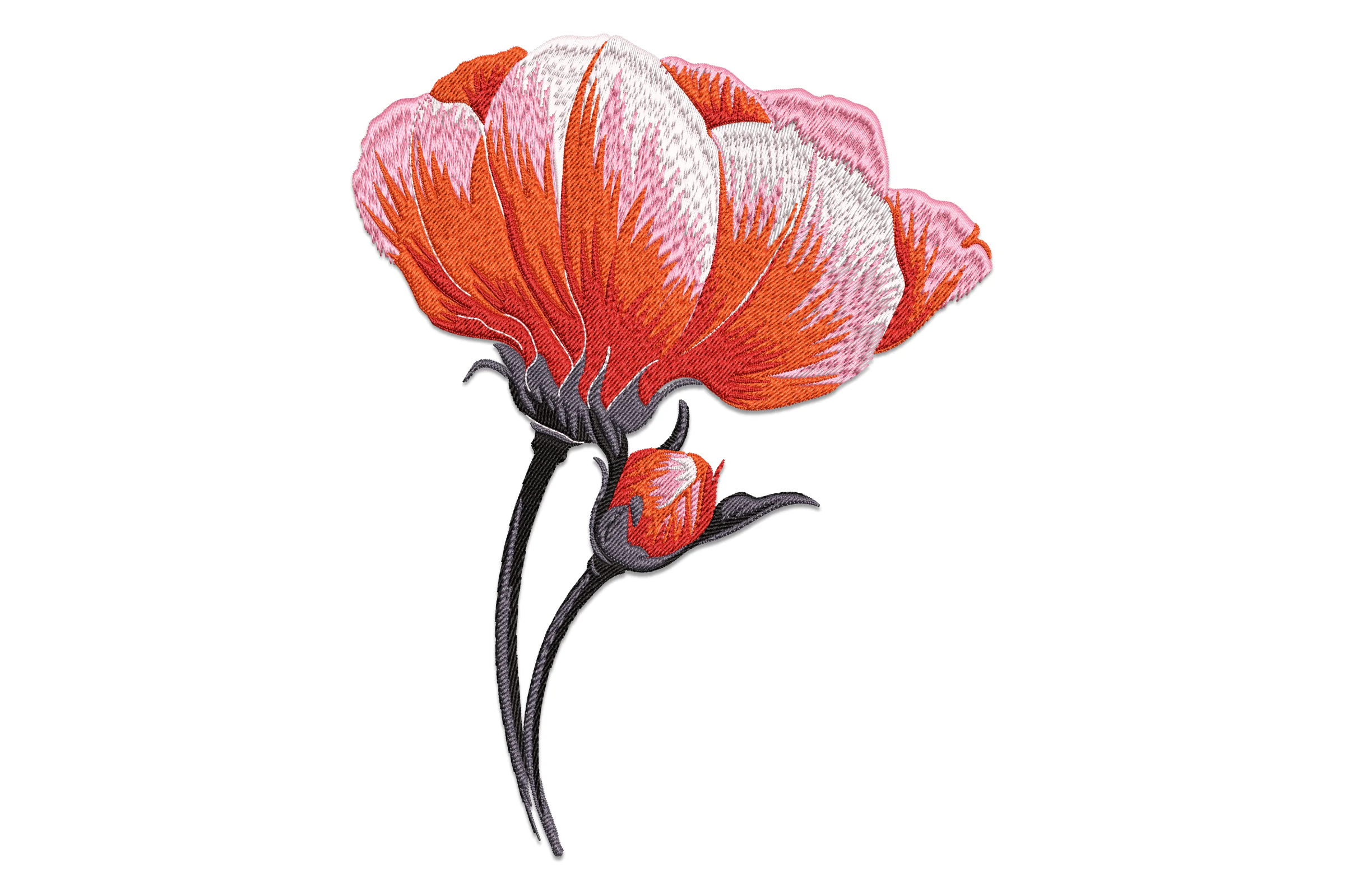 Coral Peony embroidery Design
