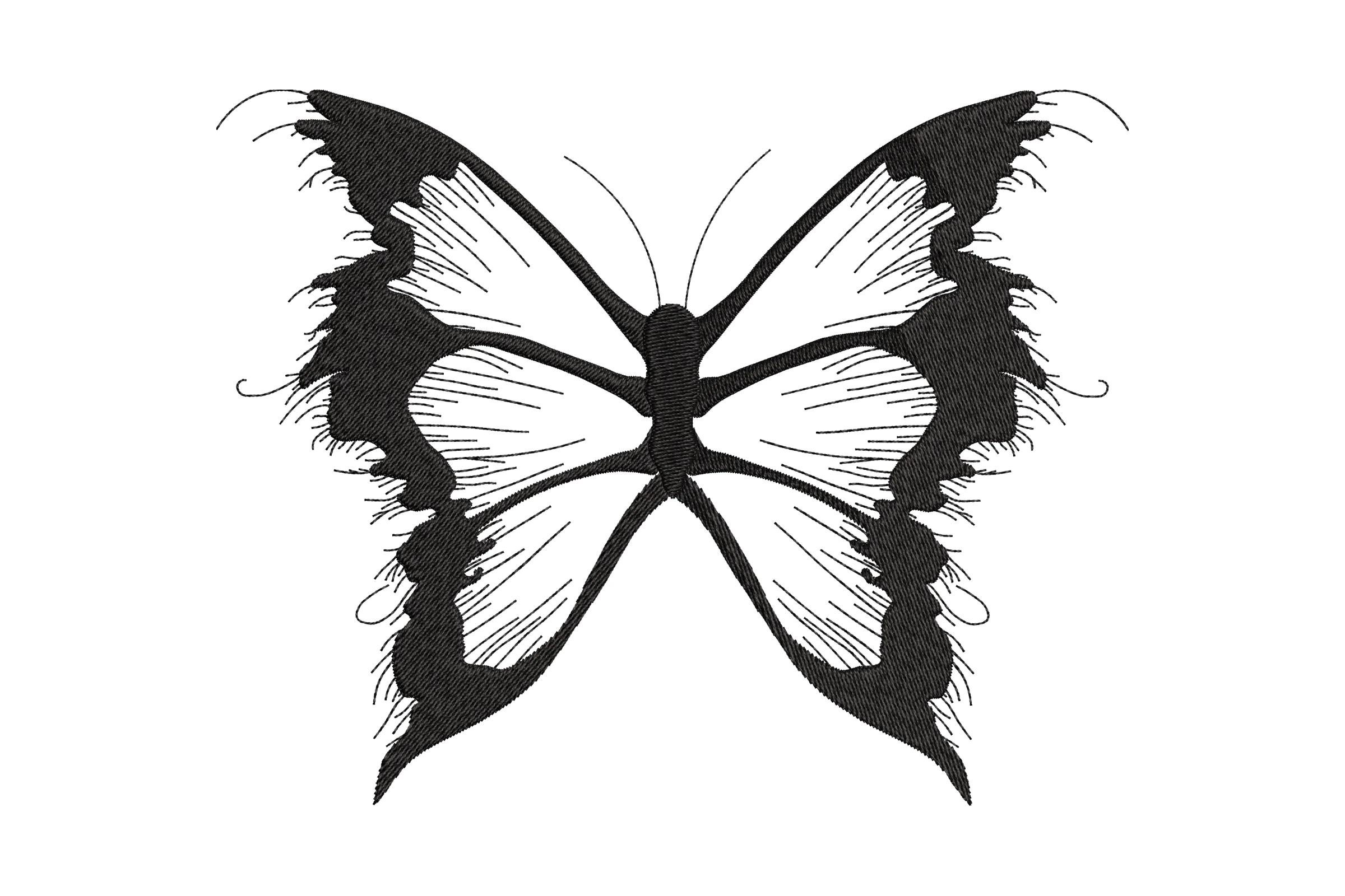 Butterfly Kit Embroidery Design